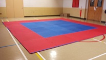 The new mats, ready for action.